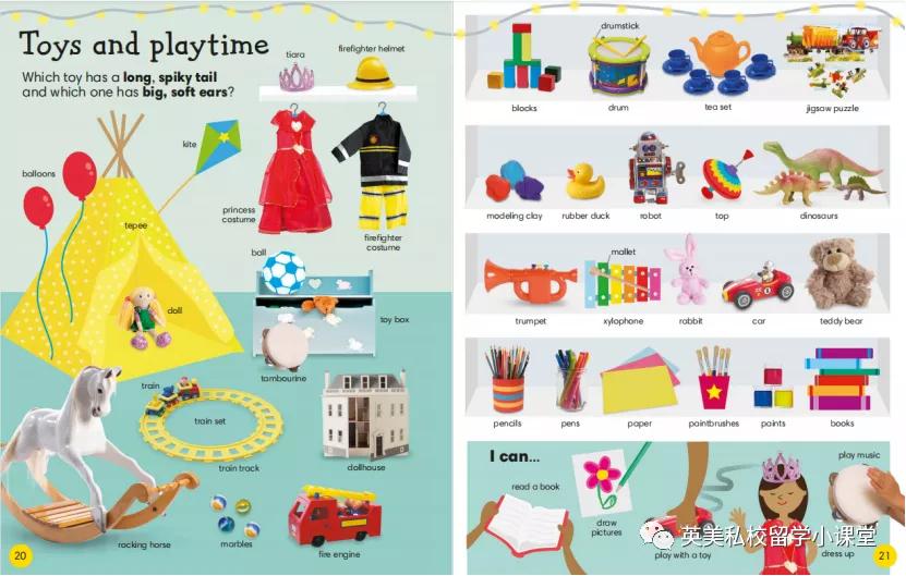 12岁推荐看的知识书,12岁儿童学dk书籍