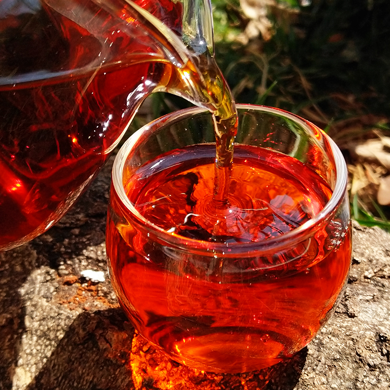 为什么云南普洱茶是饼状的,云南七子饼普洱茶价格表