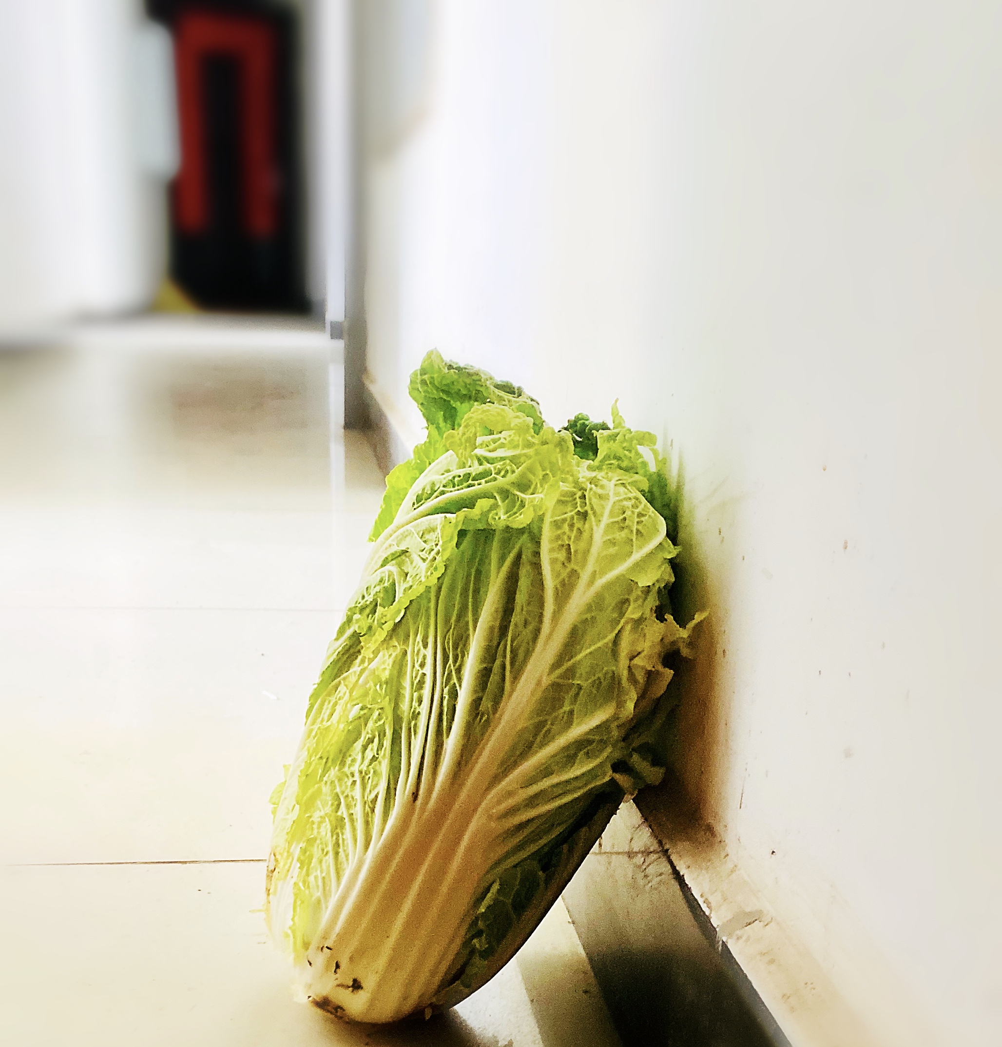 这个疫情中心的居民小区为何不“卖惨”?揭开逆境下的自强自愈秘笈