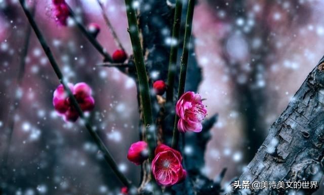 李商隐爱情名句,李商隐写感情忠贞的句子