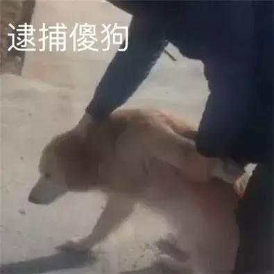 淘宝上月销上万的单品还能去做吗,淘宝上月销过万的产品是真的吗