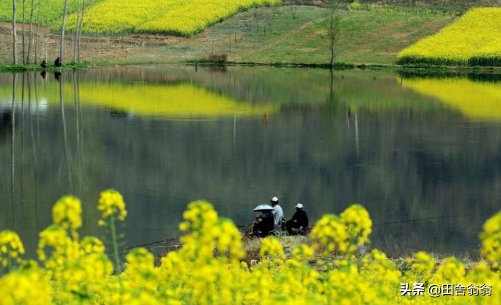 春季钓鱼小技巧新手学会秒变老手,春季钓鱼的技巧及其注意事项