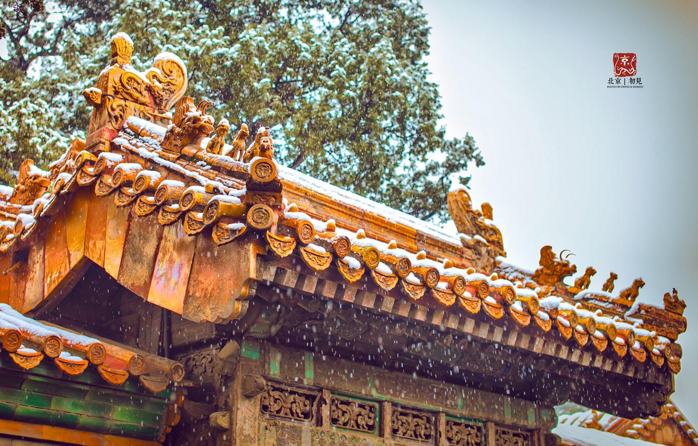 故宫不回头逛的最全路线图,逛故宫最值得去看的几个地方