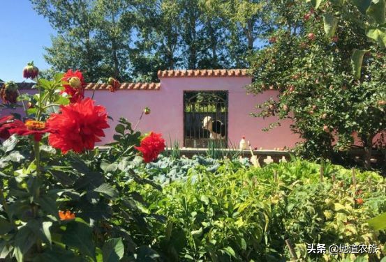 农村庭院经济发展思路,乡村小投资创业项目有哪些