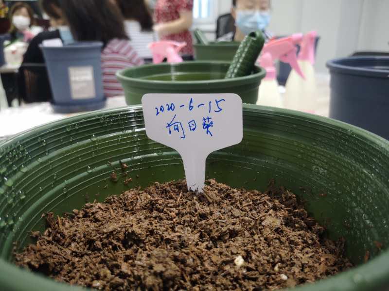 职工心理减压体验日记,女员工心理解压