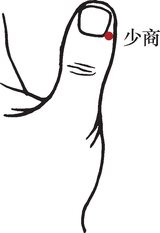 山西国医大师吕景山主要看什么病,吕景山国医大师出诊地点时间