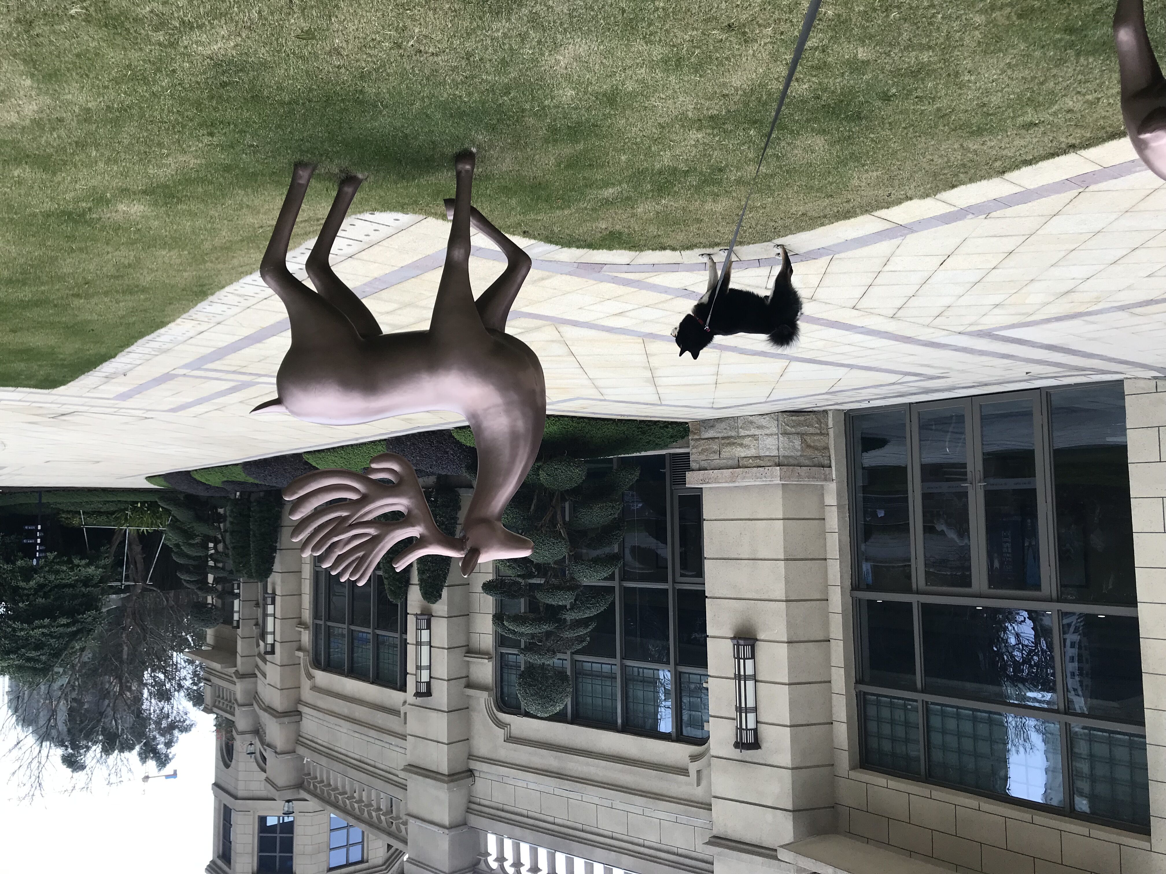 又见东兴,故地重游口岸都关闭了,不同时间不同伙伴不同心情