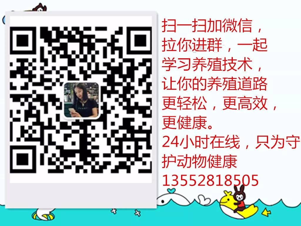 养牛人记住这几点帮你养好牛,养牛大户要懂得道理