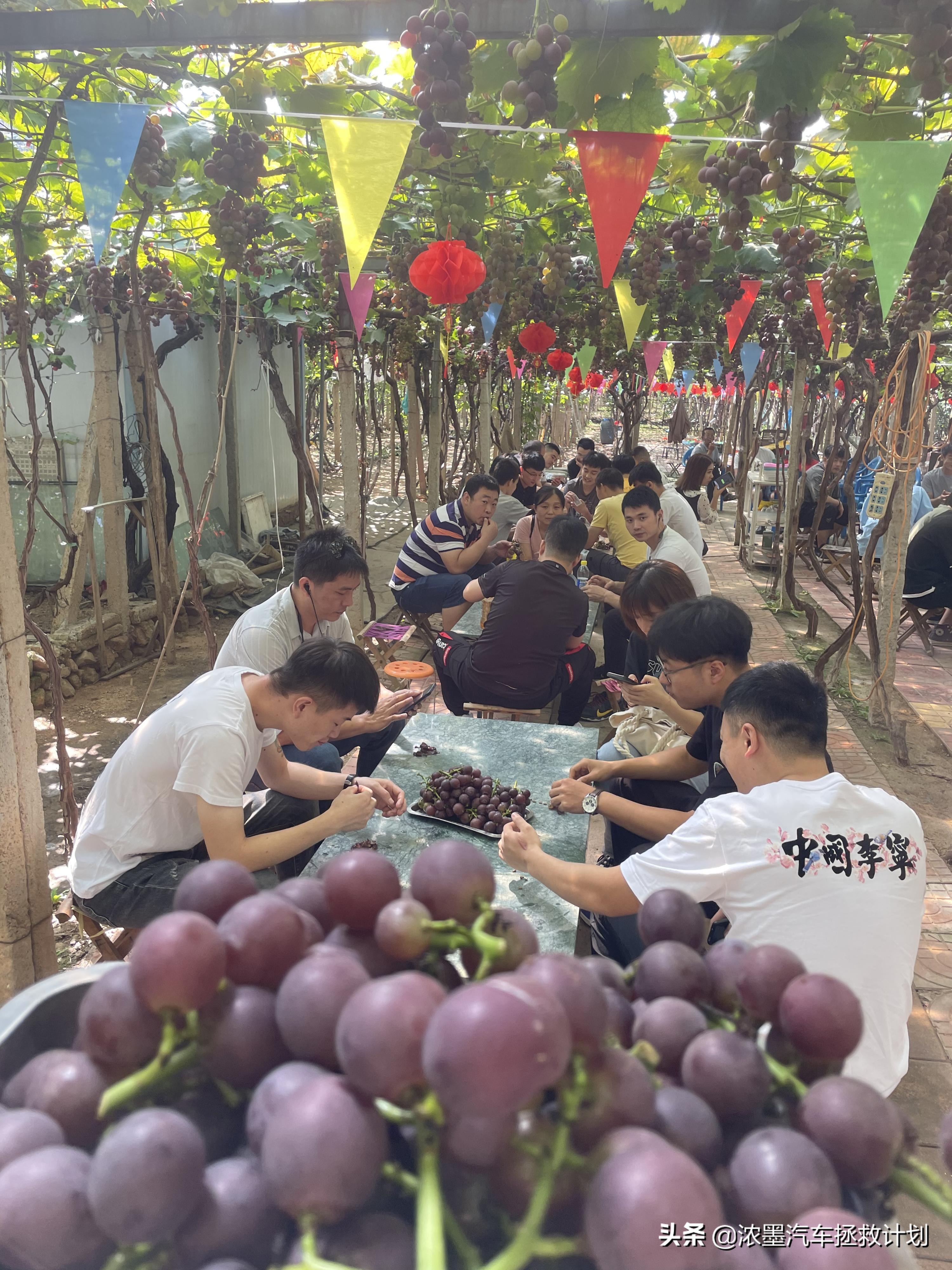 一代经典丰田普瑞维亚,丰田普瑞维亚依然经典