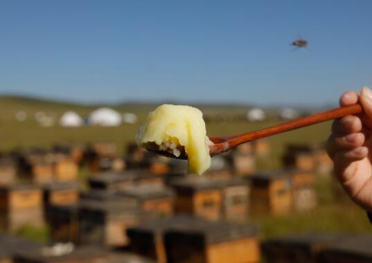 蜂王浆必须冷藏发货吗,蜂王浆快递会坏吗