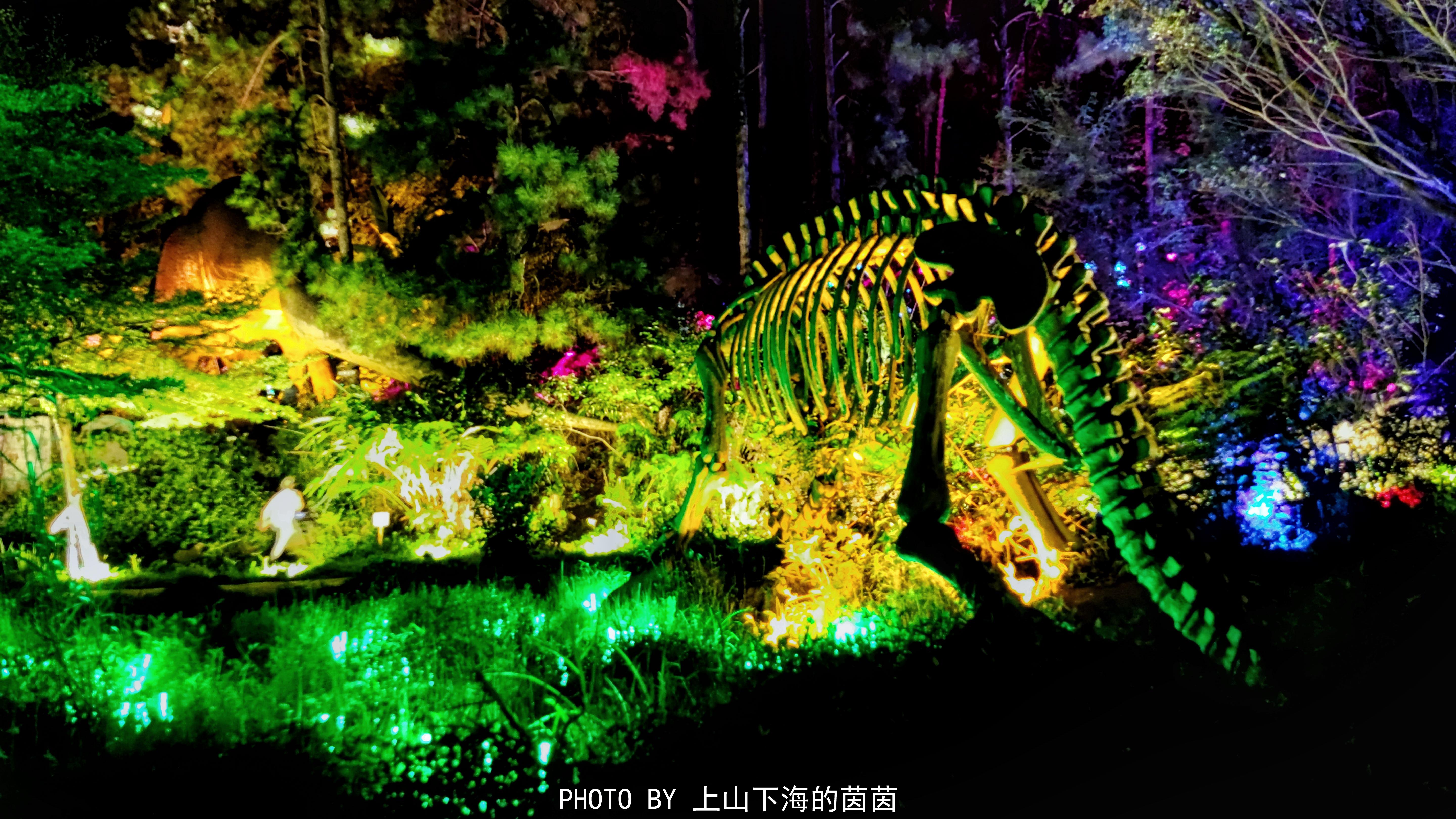 清远市佛冈森波拉度假区,佛冈森波拉度假森林免费攻略