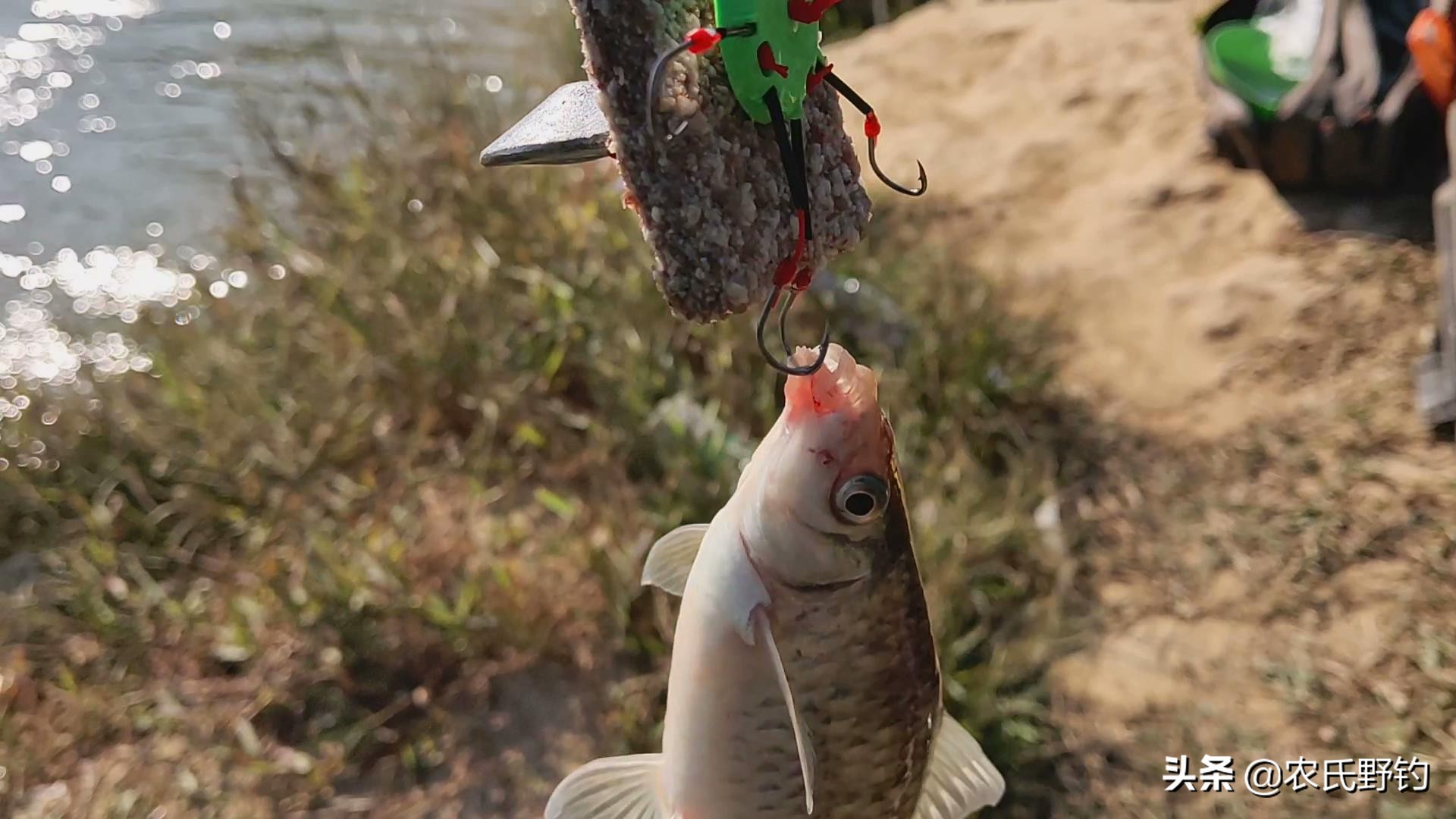翻板钩用花生饼和豆饼哪个好,花生饼钓鲤鱼饵料制作方法