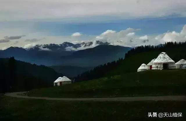 大美新疆百里画廊,北疆千里画廊打卡点