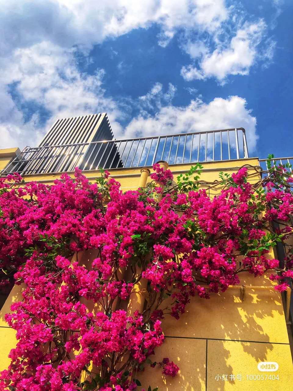 被大理丽江掩盖风头又怎样？它才是云南No.1！5月它太美了