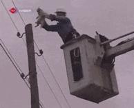 哈哈哈哈哈图,哈哈哈哈哈哈动图