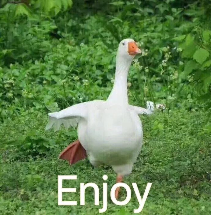 2019年第一首*脑洗**神曲，给你的舌头打了一个死结