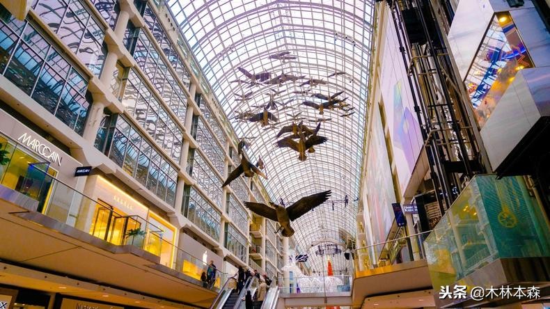 加拿大多伦多生活日记,加拿大多伦多留学生活纪实