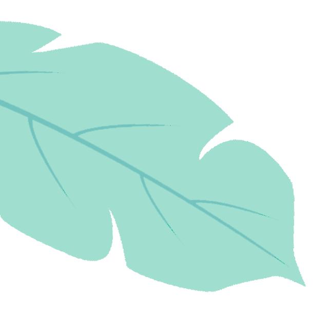 郑东新区康宁小学：学习开启智慧名师带领成长