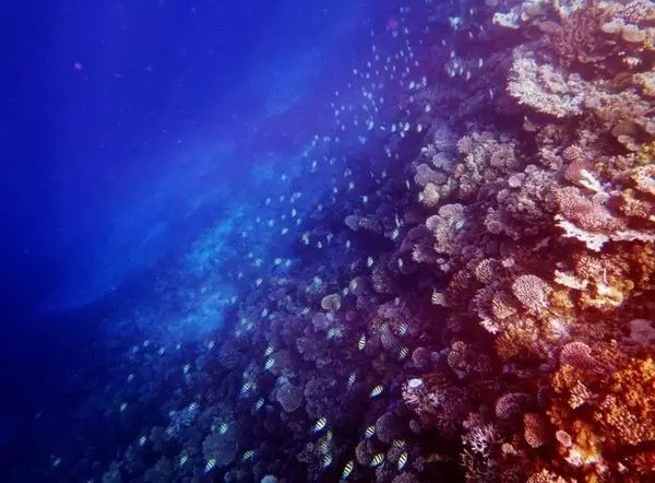 10-1马尔代夫,马尔代夫1万多岛屿推荐