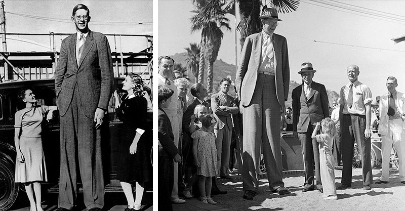 那些惊人的世界纪录,那些匪夷所思的世界纪录