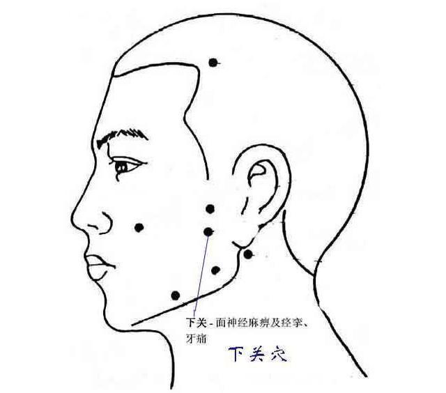 头部的重要穴位经常按摩让你神清气爽
