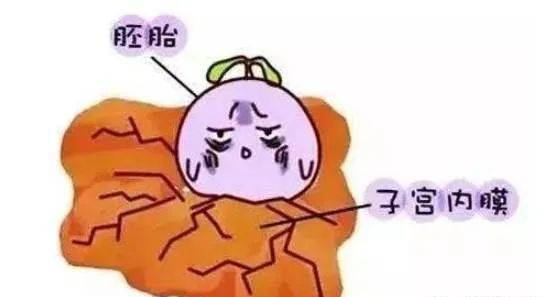 中医中药能使子宫内膜由薄变厚吗,中医治疗子宫内膜薄