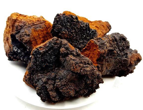 cctv7神奇的驼奶广告,cctv7白桦茸