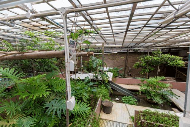 好吃又简单又好看的网红甜品,超级好吃又好看的网红甜品