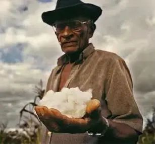 今年流行的帆布鞋品牌,今年流行的帆布鞋颜色学生