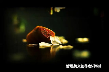 跳出圈子看圈子的成语,既要跳出圈子又要融入圈子