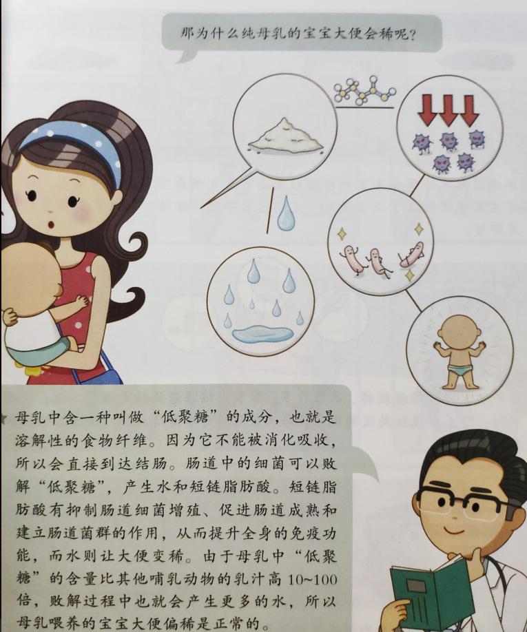 正常宝宝便便的颜色和形状,宝宝便便识别方法图解1岁