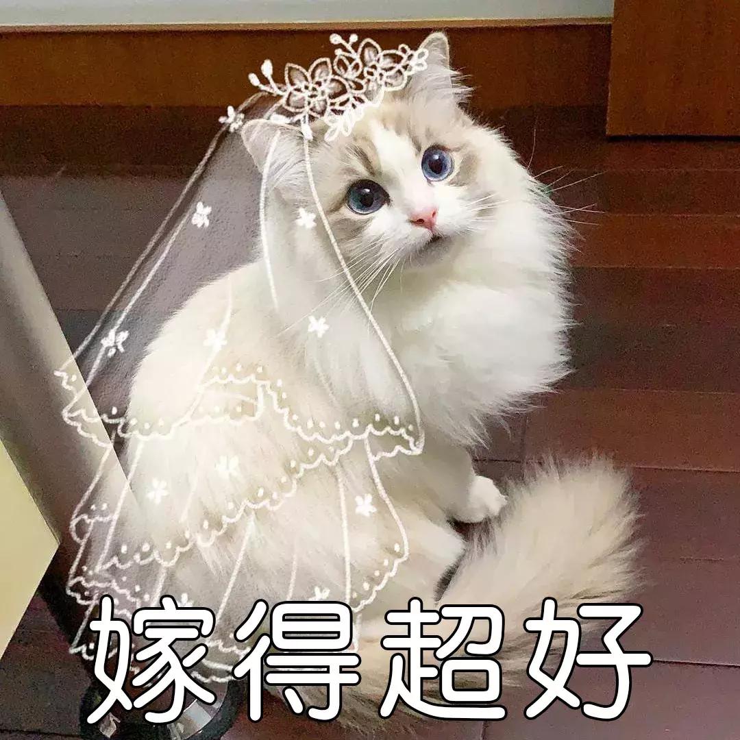 欧碧玺新派婚纱礼服,欧碧玺婚礼一站式