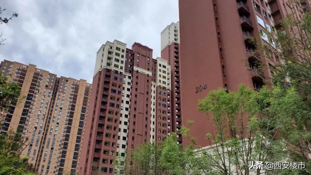 南湖艺境一期小区环境图片,南湖艺境一期详细地址