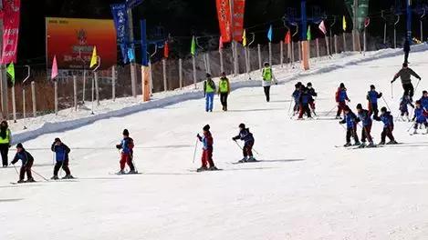 北京附近滑雪场哪家好,目前北京规模最大的滑雪场是哪个