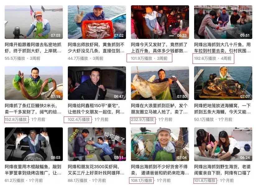 “渔人阿烽”上央视，讲述西瓜视频赶海创作者的成长史