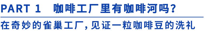 日本网红咖啡厅,网红日本杯子