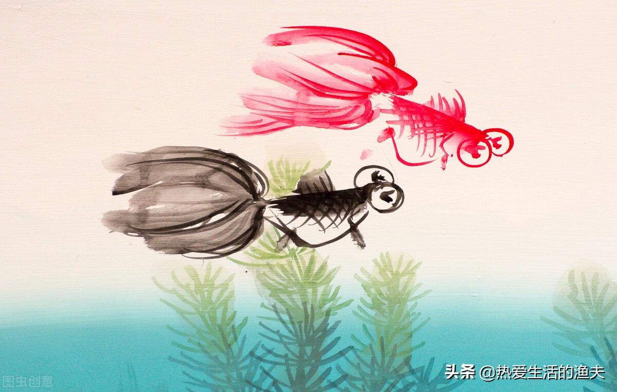 草金鱼长时间不喂食会饿死吗,草金鱼不喂食会不会饿死