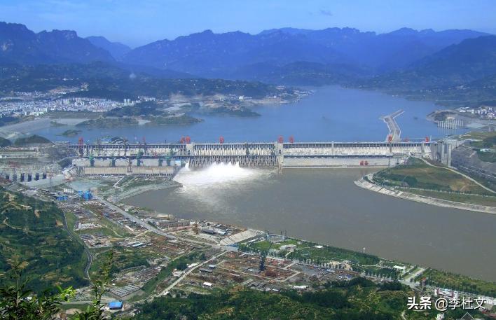 台湾榨菜哥深度解析,台湾榨菜哥谈蝗虫