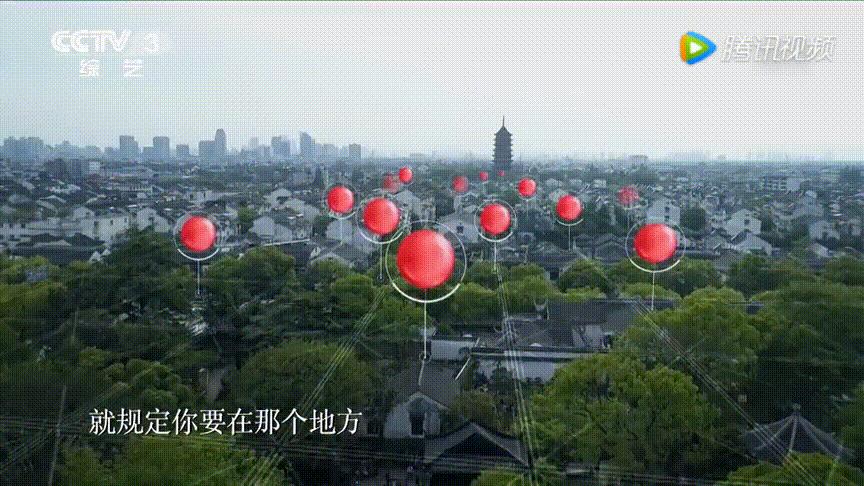 这株四百多年的紫藤，背后是整个江南园林