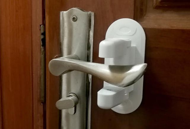 高层养猫必须要装纱窗吗,高层养猫关笼子