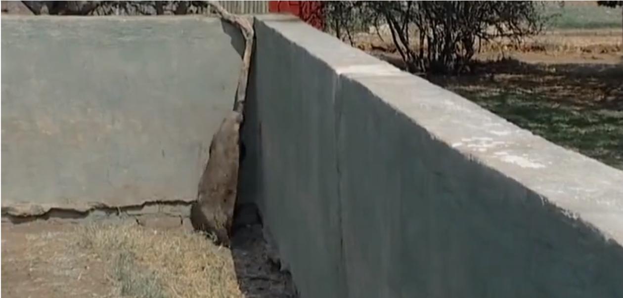 永不服输的蜜獾，曾经有一个保护区饲养了两只，后来怎么样了？