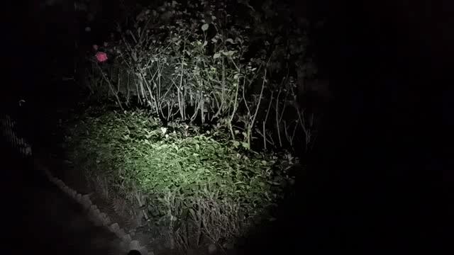 纳丽德机械棍n15,纳丽德n15