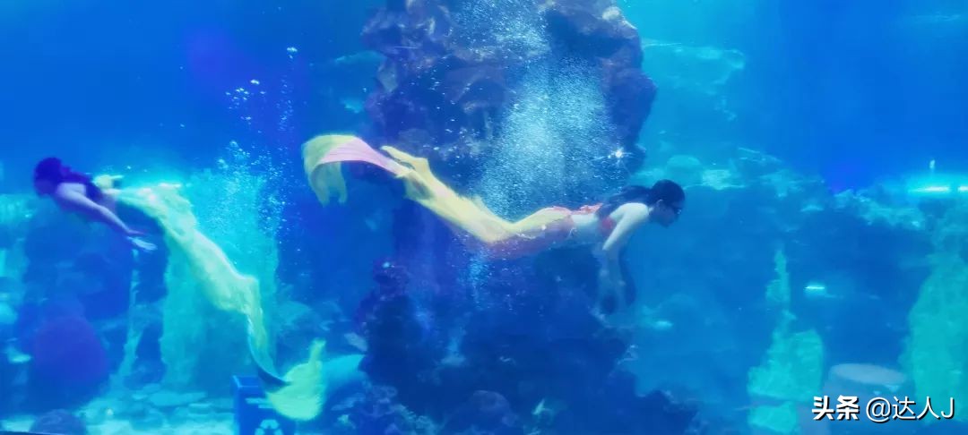 北京珍珠岛乐园,芽庄珍珠岛游乐园在哪儿