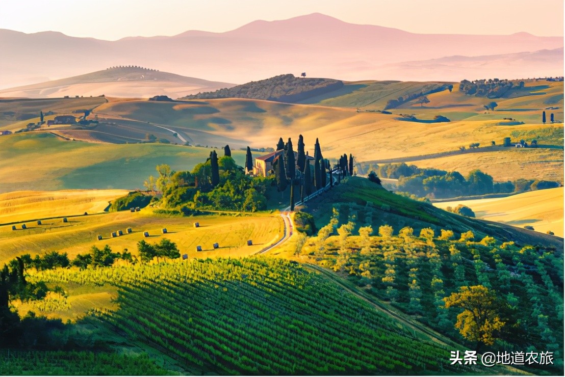 农场乡村振兴具体实施哪些项目,乡村振兴都市型休闲农业发展前景