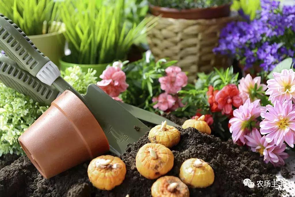 农村项目小本创业,农村一千元小本创业加盟