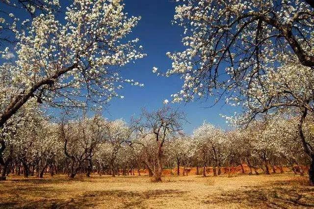 2021年云南最适宜避暑的十县市,云南旅游避暑地点排名榜