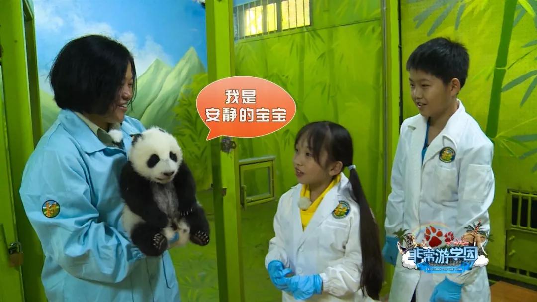 大熊猫百科知识详细介绍,大熊猫前脚有几只手指