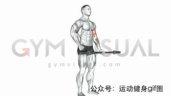 100张肌肉分解图,手臂肌肉的爆发力怎么练