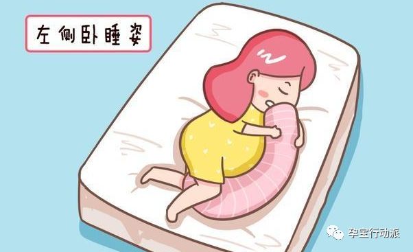 孕期指南第6周,孕期记录第38天