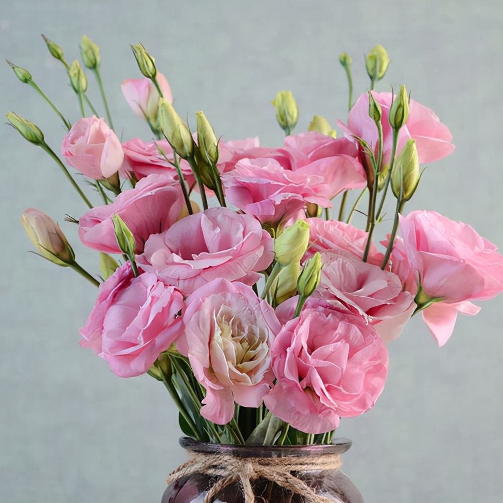 花卉绿植种植大全,温室常见的花卉